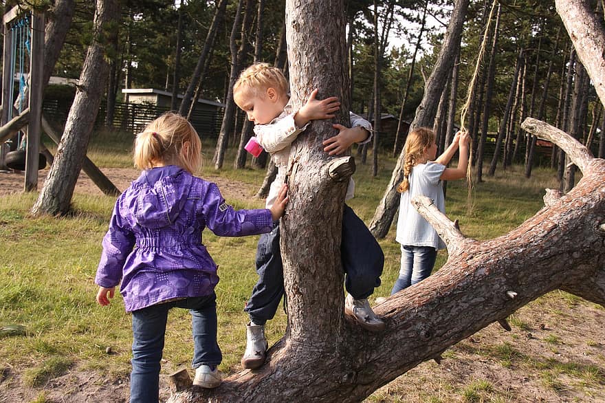 bambini, parco, infanzia, giocando, scalata, albero, ramo, ragazze, equilibrio, all'aperto, bambino