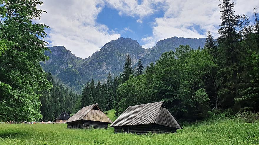 cabine, capanne, alberi, foresta, valle, Giewont, Tatry