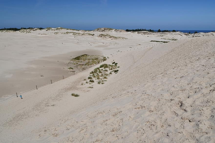 le sable, plage, dunes, côte, dune de sable, paysage, été, bleu, littoral, les vacances, Voyage