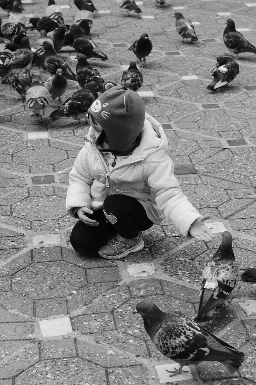 dítě, dívka, holub, krmení, černobílý, stádo, Černý a bílý, náměstí, městský život, holubice, pták