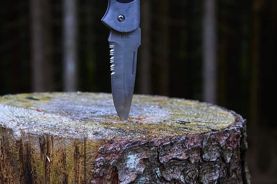 dao, lưỡi, gốc cây, vũ khí, nhọn, kim loại, gỗ, rừng, Thiên nhiên