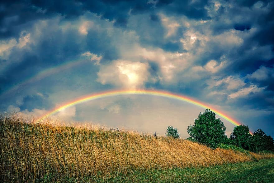 regnbue, skyer, vej, træer, eng, himmel, naturskøn, vejr, sommer, natur, rejse