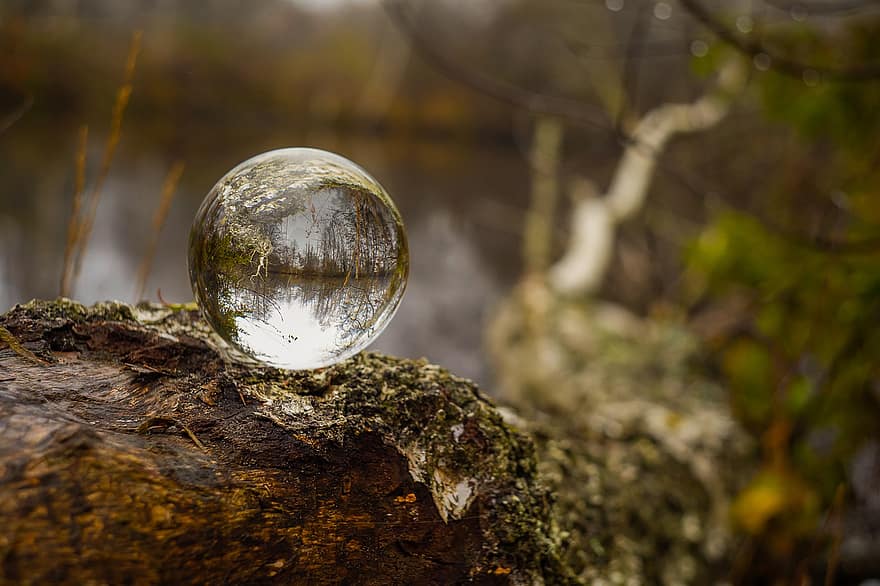 bola de cristal, esfera de cristal, bola de la lente, naturaleza