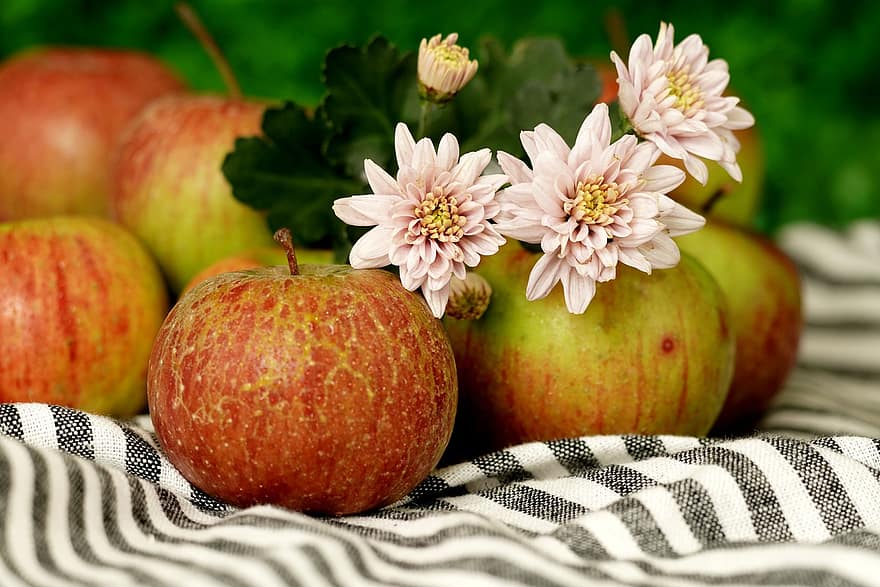 फूल, फल, गुलदाउदी, सेब, खाना, ताज़ा, स्वस्थ, परिपक्व, कार्बनिक, मिठाई, उत्पादित करें