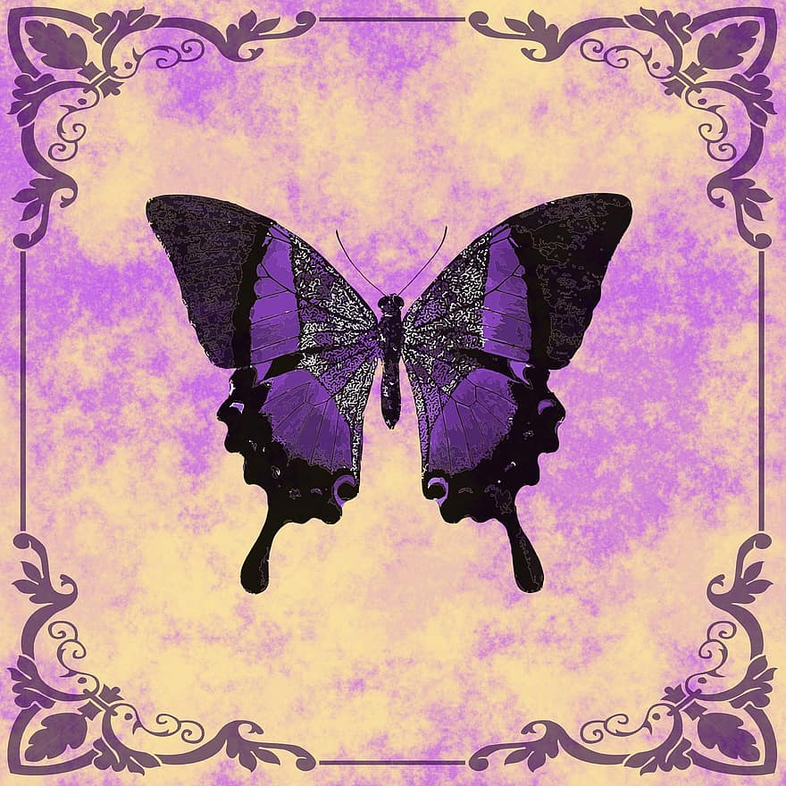 фон, бабочка, марочный, ретро, дизайн, цифровая бумага, обои на стену, скрапбукинга, насекомое, иллюстрация, разноцветный