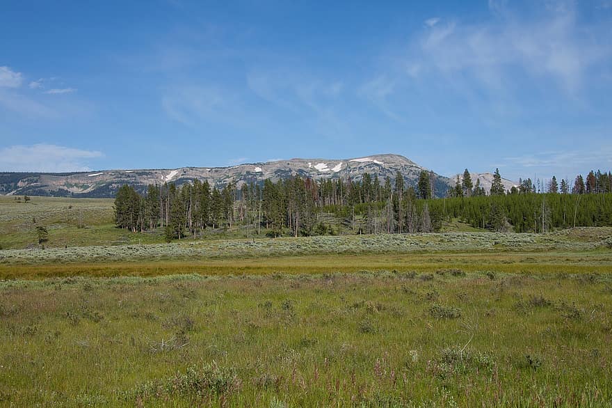 Parque Nacional, natureza, viagem, Yellowstone, panorama, ao ar livre, cênico, montanhas, papel de parede, Wyoming