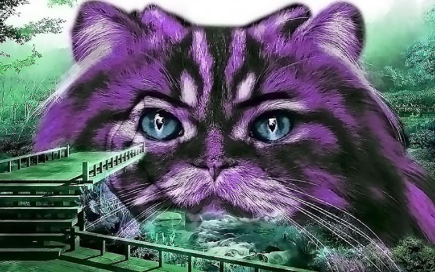 gato, surrealista, animal, púrpura