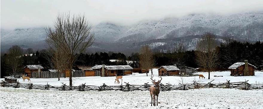 Snow, Mountains, Deer, Farm, Barns, Fence, Huts, Cabins, Cottages, Demarcation, Hoarfrost