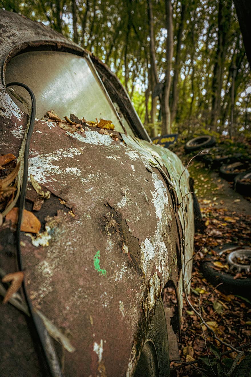 Car, Vehicle, Rust, Engine, Forest