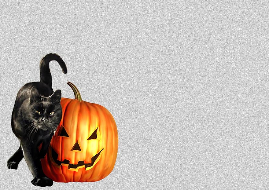 terrore, Halloween, agghiacciante, denti, fantasma, paura