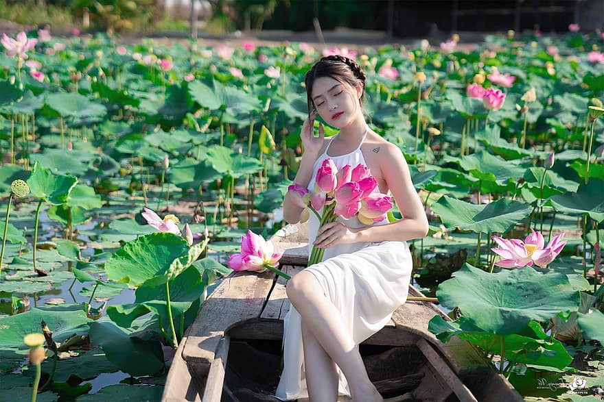 donna, ritratto, ao dai, modello, fiori di loto, foglie di loto, vestito bianco, vestito tradizionale, asiatico, donna asiatica, giovane donna