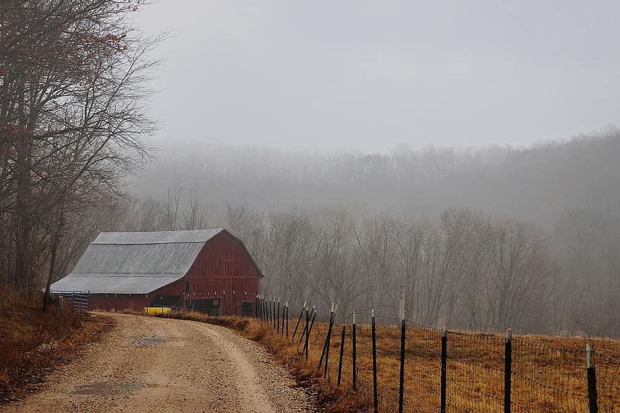 farm, weide, platteland, landelijk, mist, nevel, winter, natuur, veld-, paarden, dieren