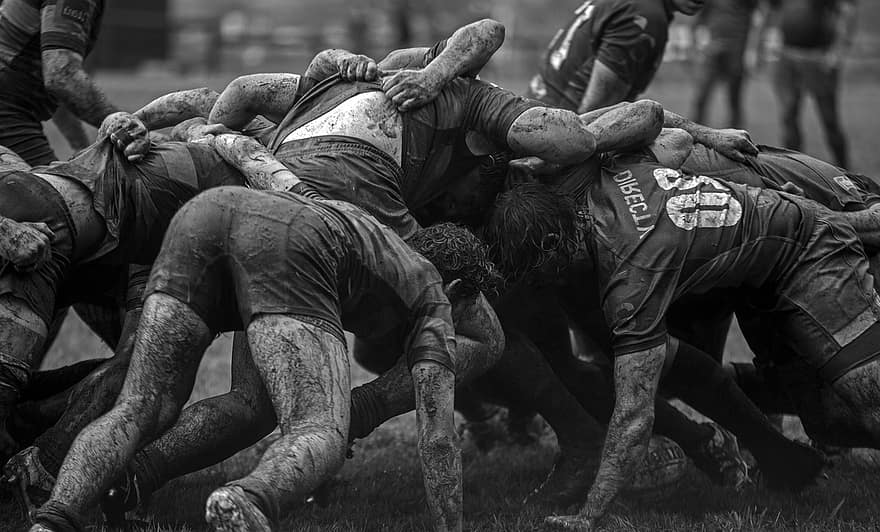 rugby, sport-, atleten, team, modder