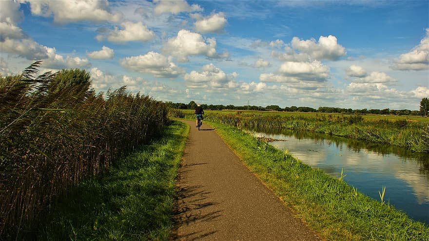 ciclista, canale, all'aperto, riflessione, Olanda, autunno