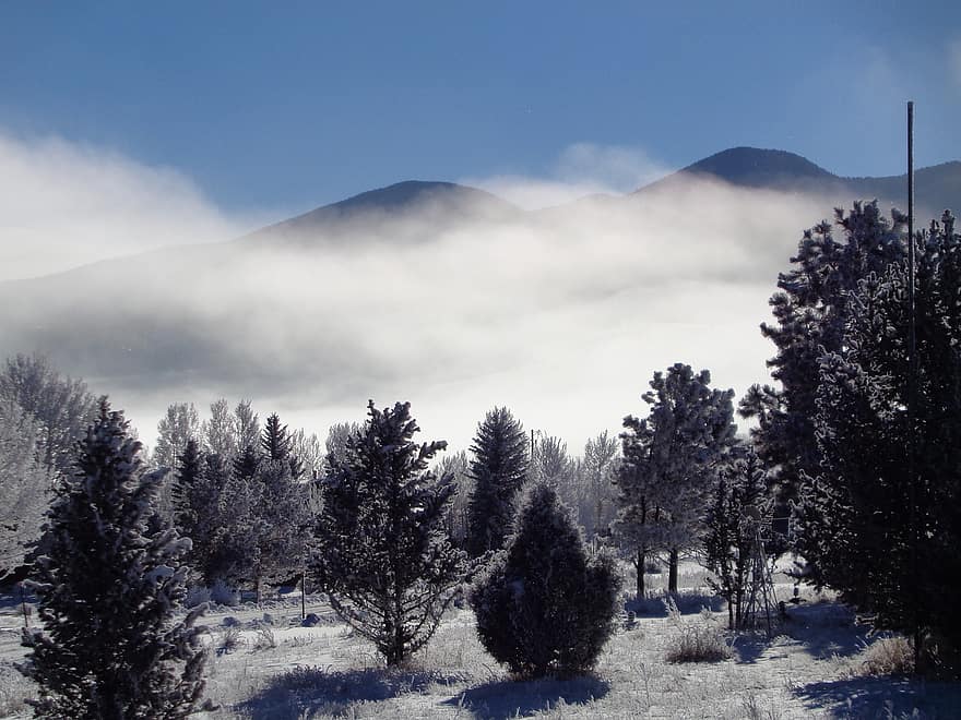 zimowy, mgła, drzewa, śnieg, krajobraz, las, Natura, góry, zamglenie, mglisty, zimno