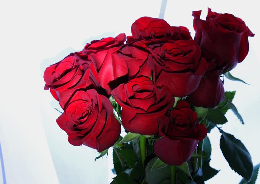 róże, bukiet, kwiaty, miłość, powieść, romantyk, kwiat, prezent, płatki, ślub, czerwony
