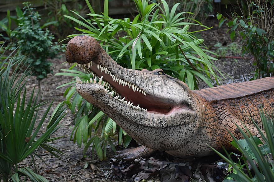crocodile, animal, statue, reptile, exposition, faune, Préhistorique, musée, Hermann Park, Houston, Texas