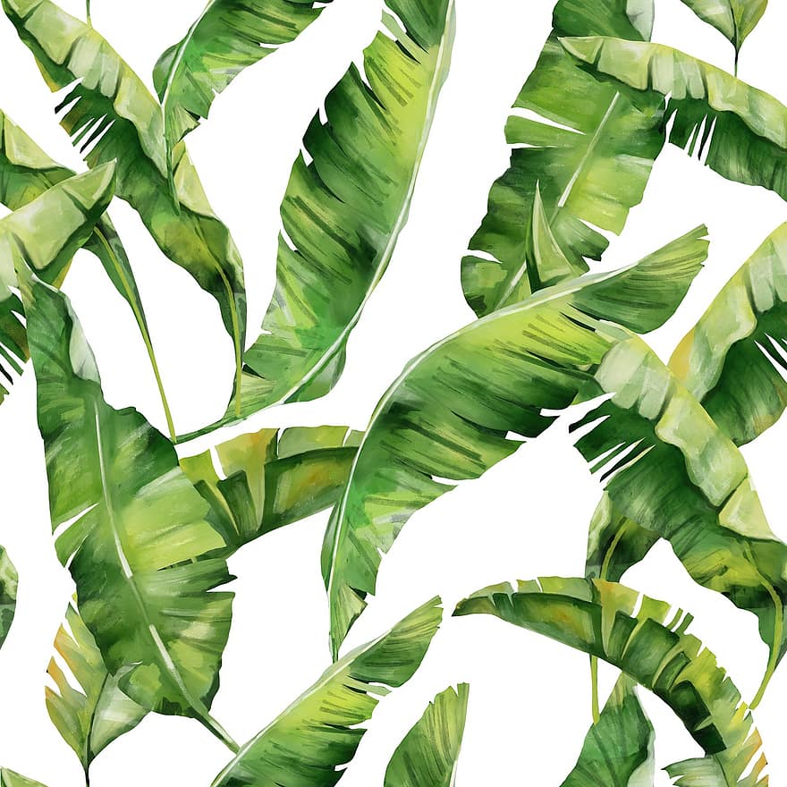 listy, tropický, rostlina, dlaň, letní, exotický, palma, flóra, pláže, lisování, textil