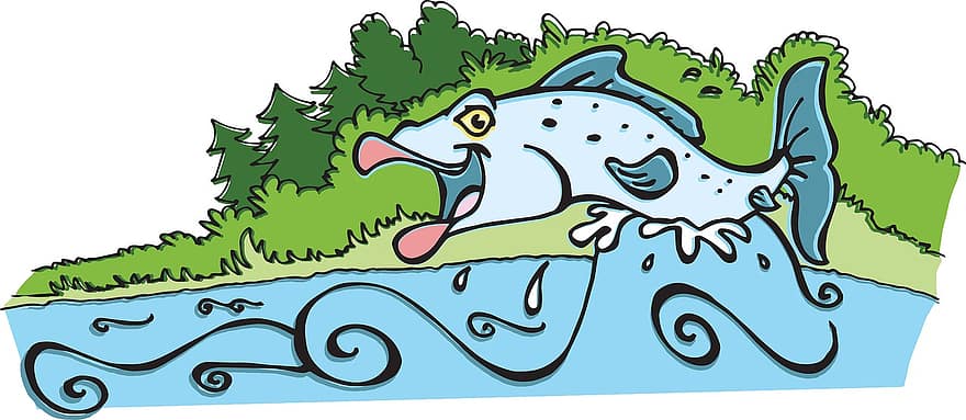 大西洋産サーモン、魚、飛び跳ねる、水、川、屋外の、釣り、しぶき、水泳、漫画