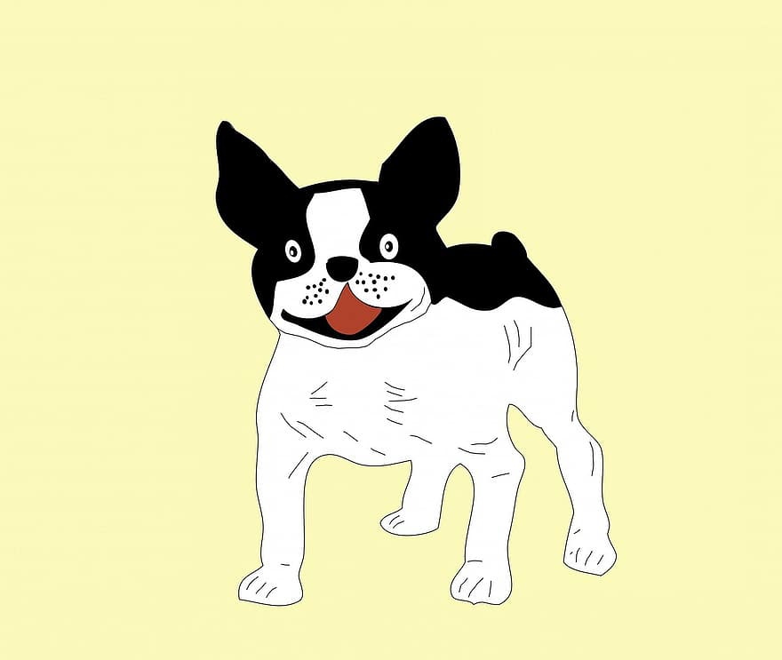 cão, Bulldog francês, buldogue, canino, animal, fofa, arte, desenho animado, engraçado, Animais amarelos, arte amarela