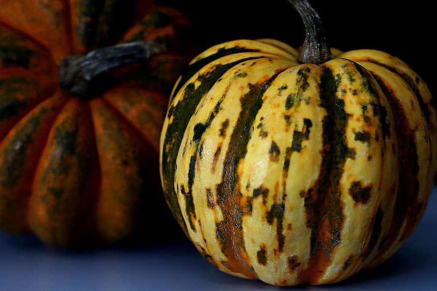 abóboras, legumes, Grourds, abóbora, dia das Bruxas, outono, vegetal, Outubro, fechar-se, temporada, decoração