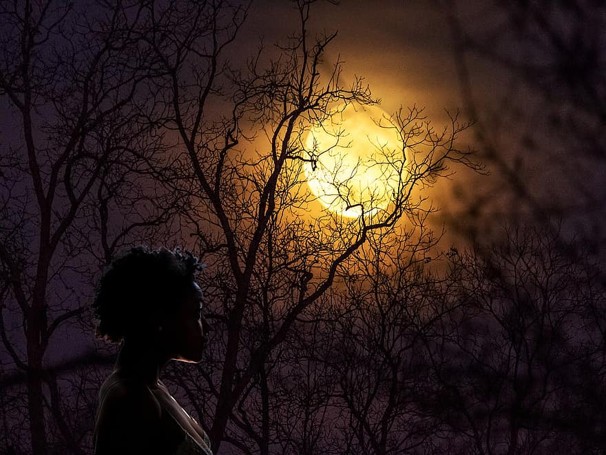 lună, noapte, copaci, femeie, lumina lunii, siluetă, întuneric, ușoară, apus de soare, femei, cu iluminare din spate