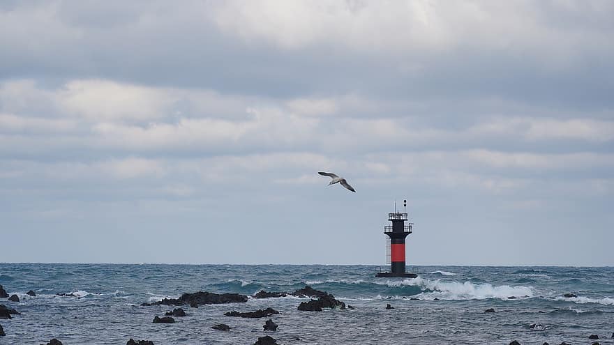 insula Jeju, ocean, far, peisaj, pescăruş de mare, albastru, litoral, apă, val, zbor, mare pasăre