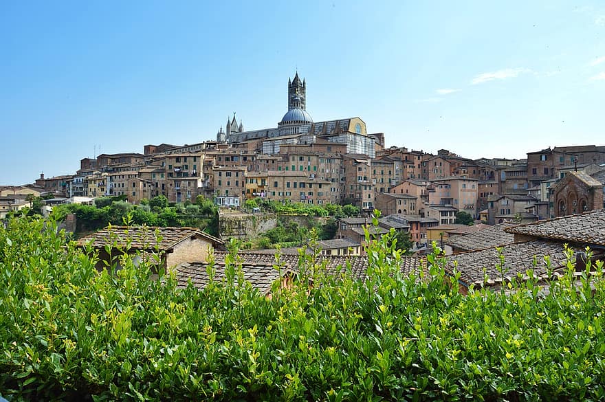 Buildings, Old Town, Siena, Architecture, Houses, Villas, Tuscany, Italy, City, Cathedral, Church