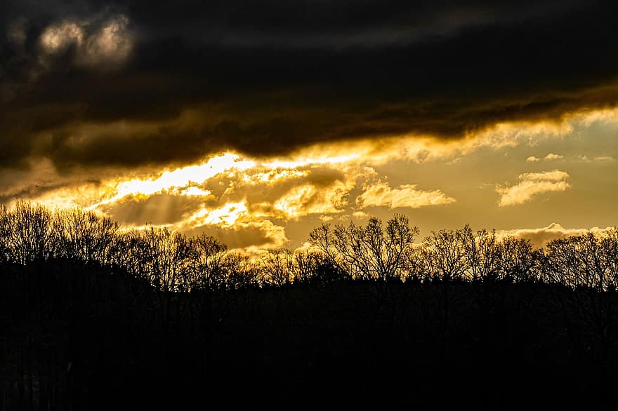 Trees, Silhouette, Sunset, Forest, Hill, Clouds, Sunlight, Sky, Evening Light, Gloomy, Dramatic