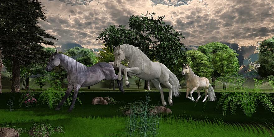 коні, ліс, поле, тварина, кінний спорт, природи, видів