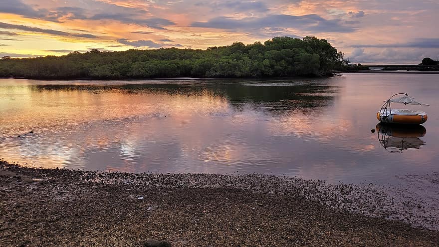 manglares, puesta de sol, estuario, crepúsculo, lago, junto al lago, naturaleza, agua, verano, paisaje, reflexión