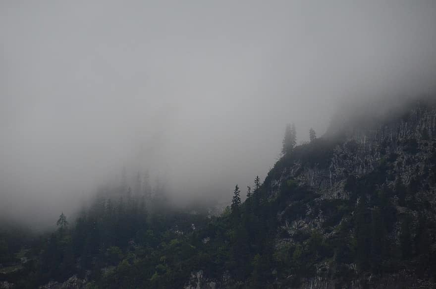 ramsau, alpine, Beieren, bergen, mist, boom, sparren, landschap
