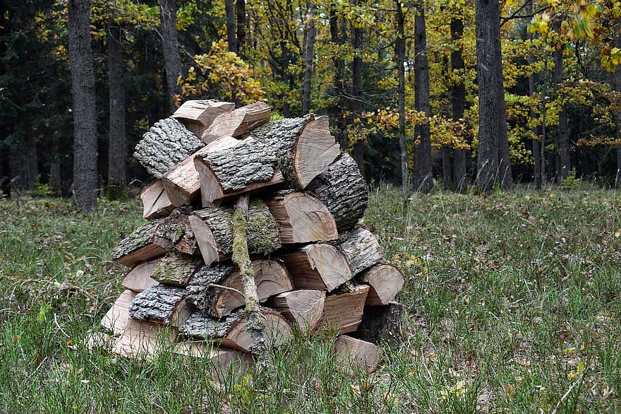 Wood, Logs, Bole, Firewood, Pieces Of Timber, Woodpile, Wooden, Timber, Forestry, Texture, Deforestation