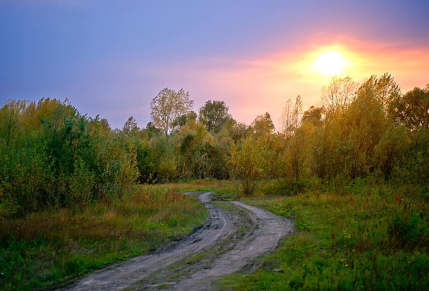 bosque, sendero, amanecer, Dom, arboles, camino, paisaje, naturaleza, la carretera, otoño, Siberia
