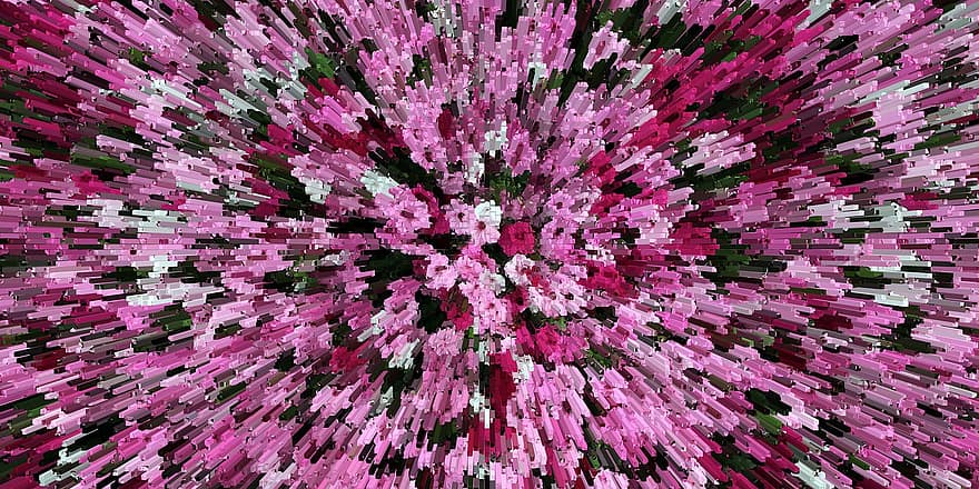 kukat, Daisy Rose, värit, kromaattinen, prisma-, kukka-, koriste-, geometrinen, kuvio, sateenkaari, tausta