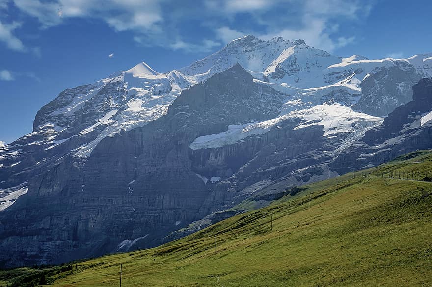 silberhorn, kalnai, Šveicarija, Alpės, pobūdį, Berno aukštumos, kalnas, sniegas, kalnų viršūnė, kraštovaizdį, žolė