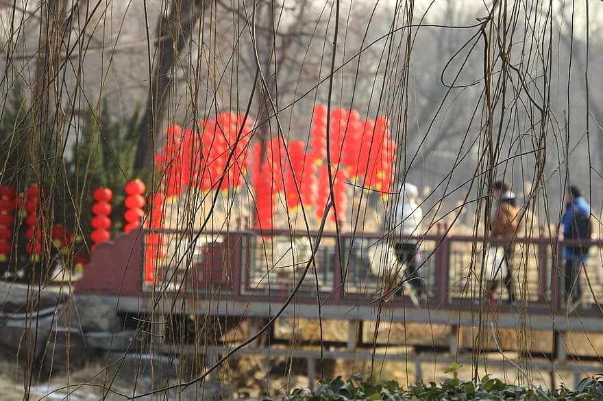 grene, bro, lanterner, røde lanterne, papir lanterner, kinesiske lanterne, Dam, vinter, nyt år, dekoration, indretning