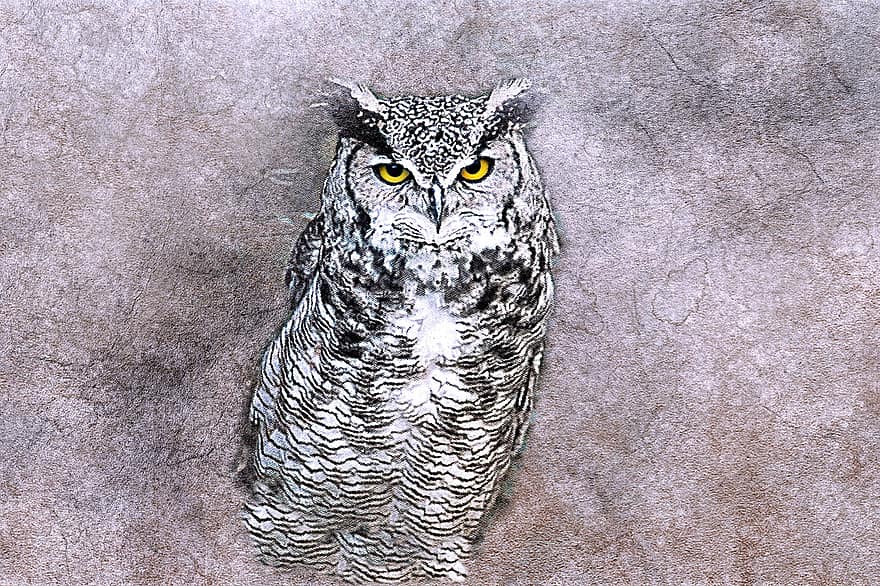 Owl, Bird, Art, Abstract, Vintage, Animal, Artistic, Design, Portrait, Drawing