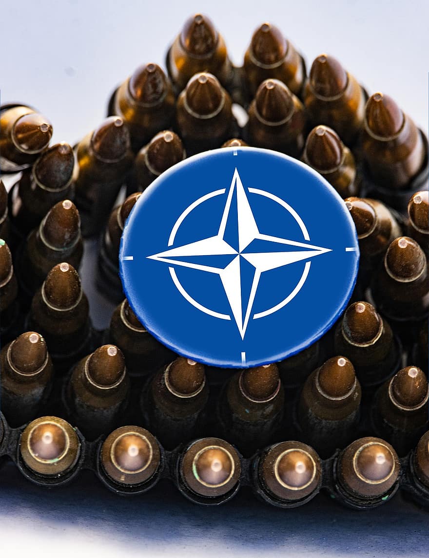 Nato, Logo, Button, Ensign, North Atlantic Treaty Organization, North, Alliance, Pact, Blue, White, Compass Rose