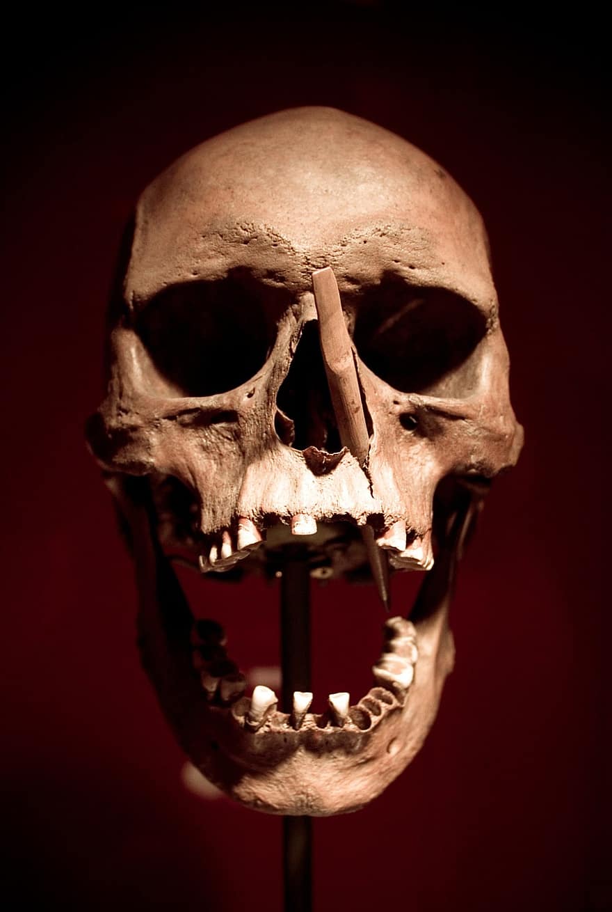 두개골, 두개골과 이미지, 죽음, 뼈, 토굴, 해골, 화살