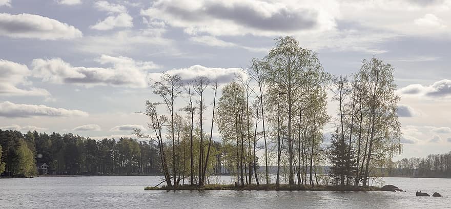 Shin, Lake, Deciduous Trees, Birch, Wood, Forest, Cumulus Clouds, Finland, tree, landscape, water