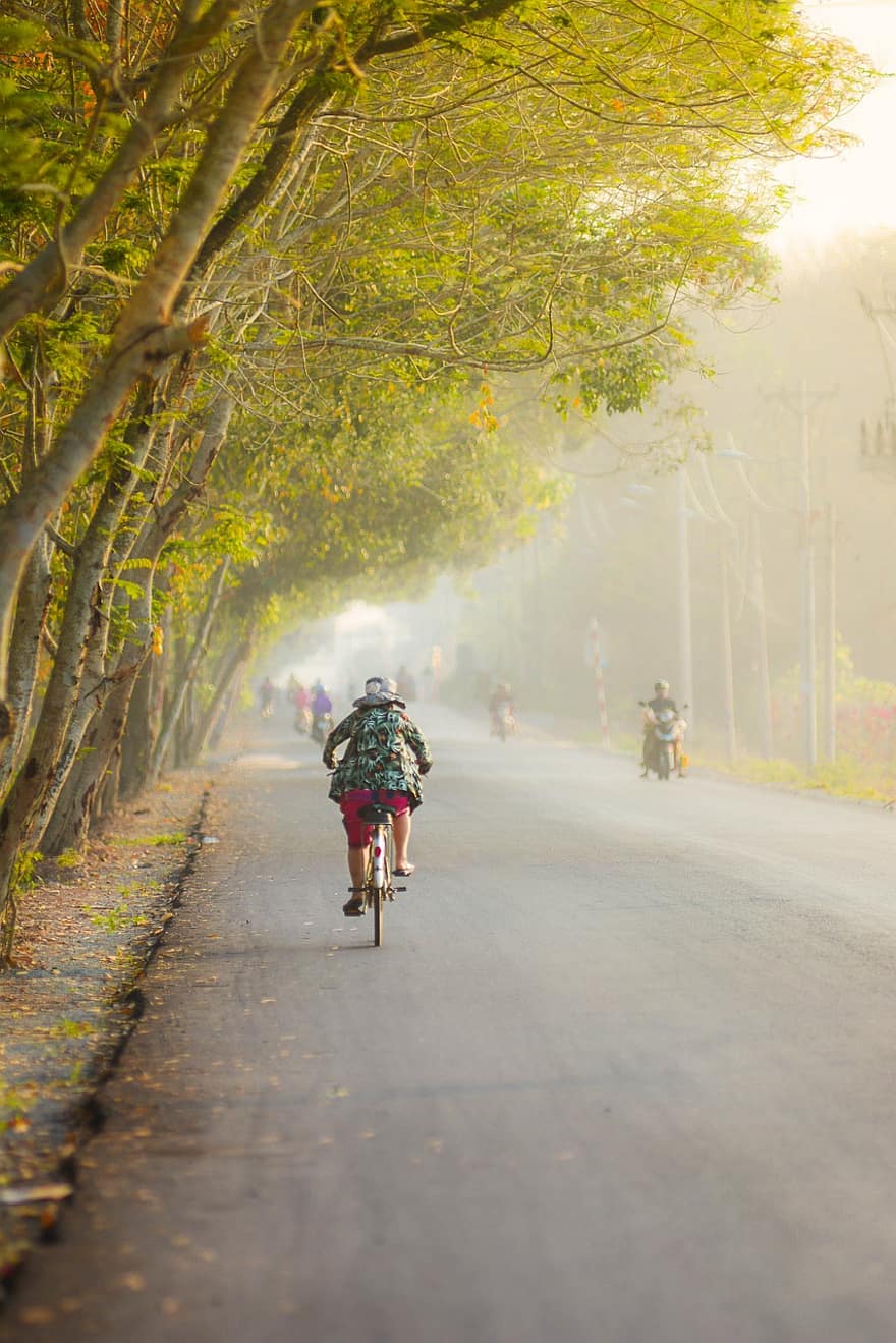 Дорога, улица, шоссе, люди, велосипед, деревья, листья