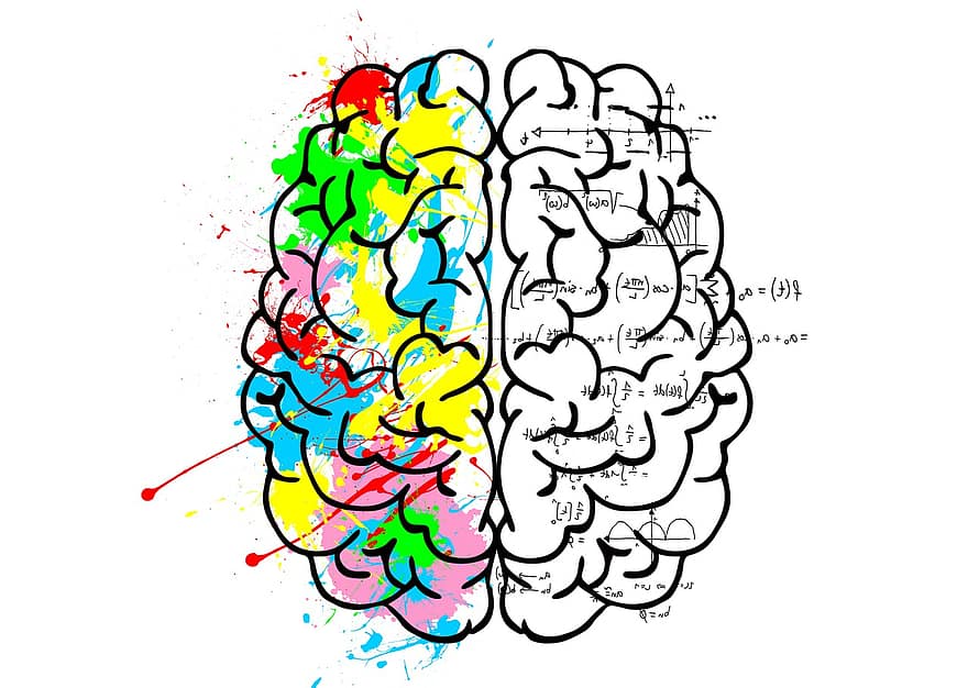 Gehirn, links, Logik, Wissenschaft, Mathematik, Recht, Kreativität, künstlerisch, Emotionen, Phantasie, Malerei