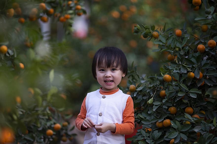 mazulis, Apelsīnu novākšana, ārā, augļu dārzs, maza meitene, portrets, bērnībā, bērns