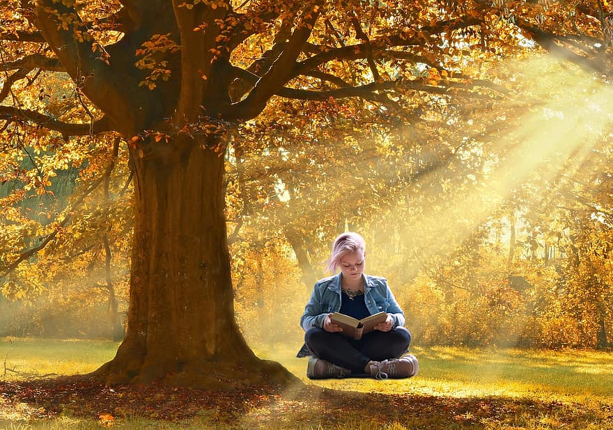 девушка, книга, дерево, чтение, воображение, роман, история, на открытом воздухе, литература, природа