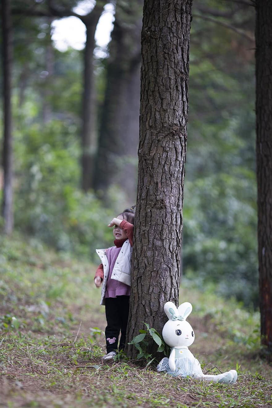маленька дівчинка, хованки, ліс, дівчина, дитина, час відтворення, на відкритому повітрі, гра на відкритому повітрі, милий, дитинство, весело