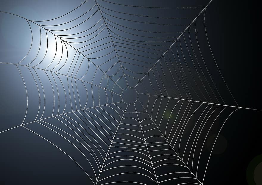 web, spindelvev, lys, regning, nettverk, abstrakt, belysning