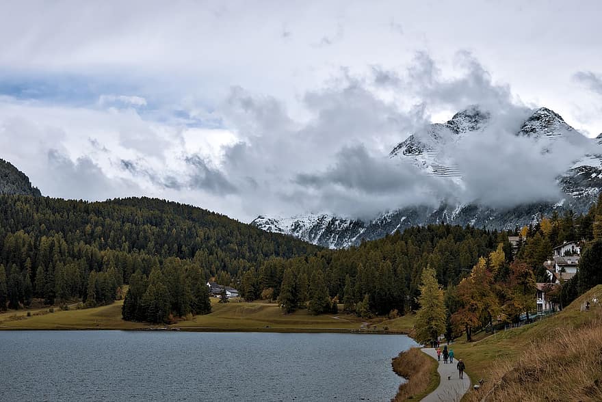 luonto, matkustaa, tutkiminen, vaellus, ulkona, vuoret, pilviä, st moritz, Sveitsi, metsä