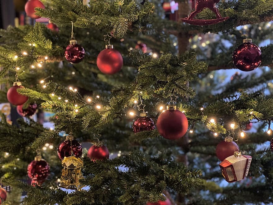 Noël, Sapin de Noël, hiver, ornement, décoration, arbre, fête, saison, décoration de Noël, arrière-plans, illuminé