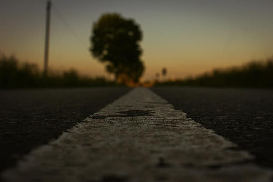 Road, Pavement, Sunset, Road Marking, Asphalt, Roadway, Path, Mysterious, Perspective, Dusk, Evening Atmosphere